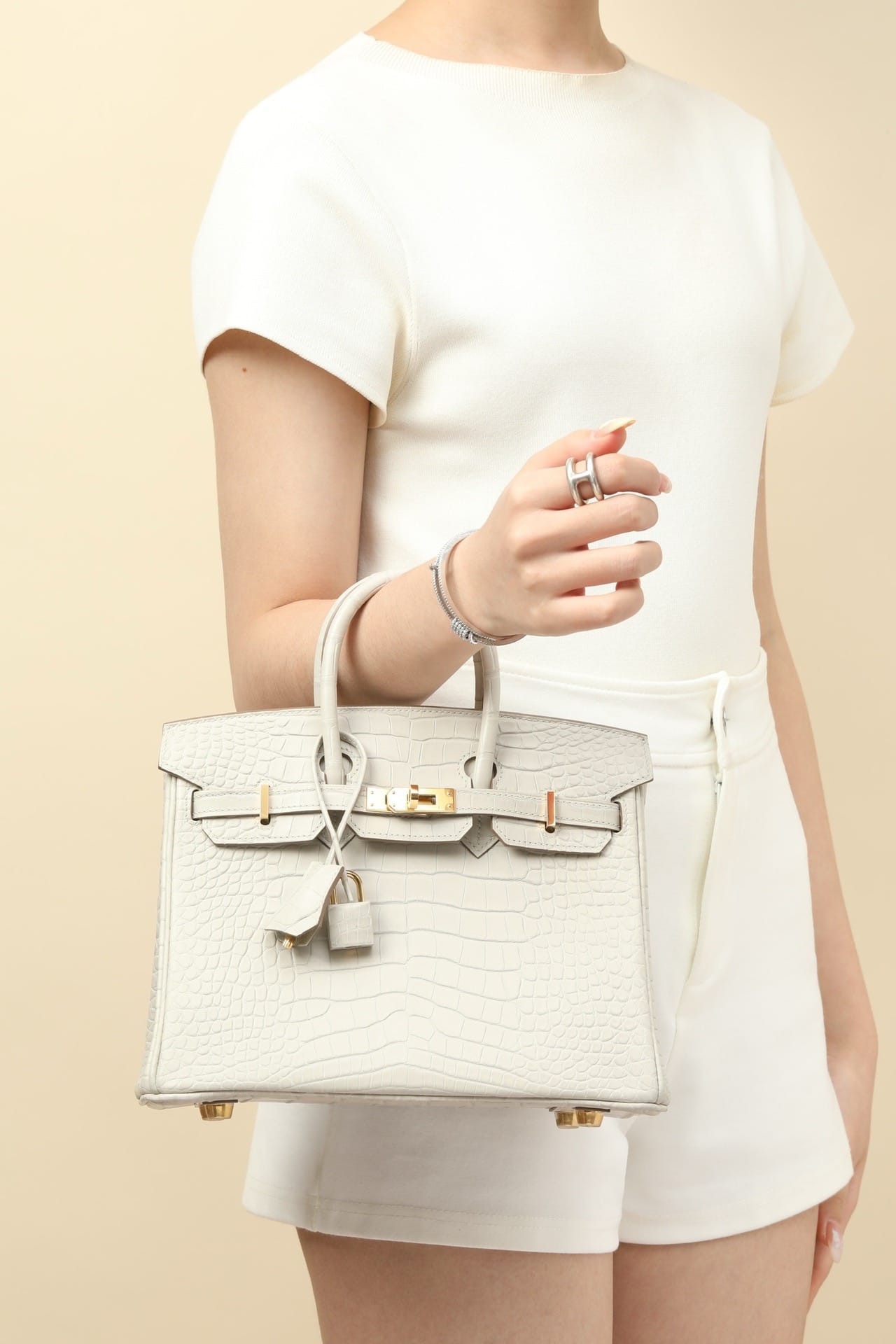 Birkin Croco Hermes BK8L.gold