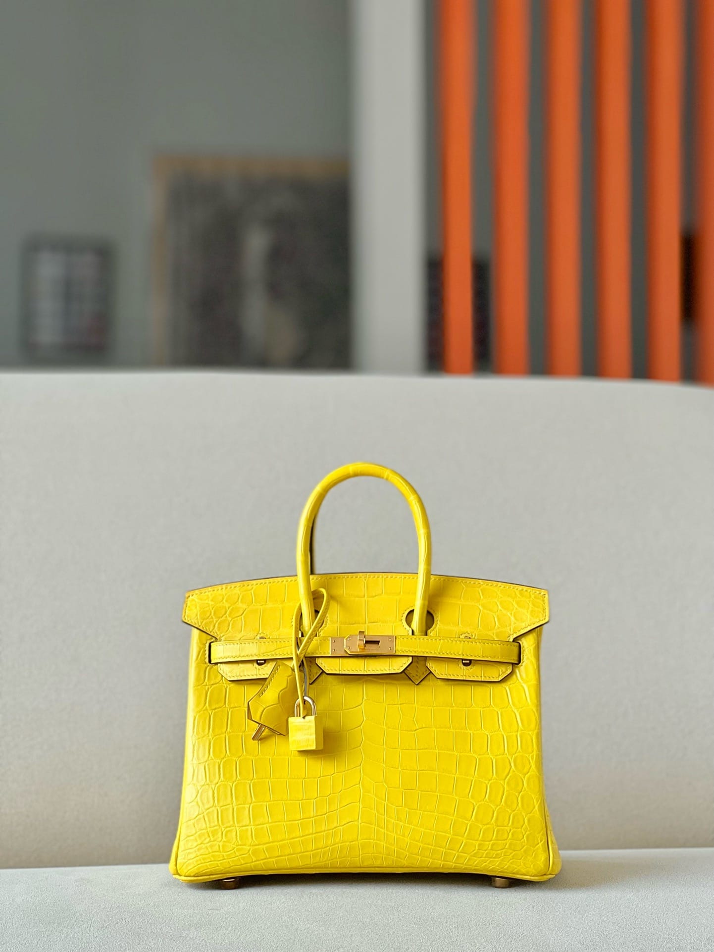 Birkin Croco Hermes BKН5.20