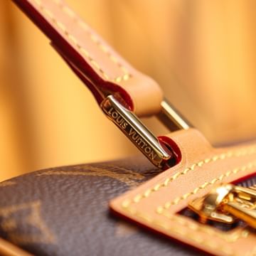 Cite Louis Vuitton M46321