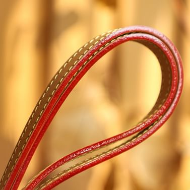 Cite Louis Vuitton M46321