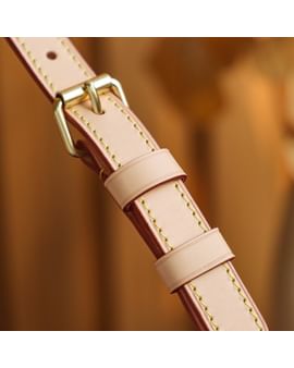 Speedy 25 Louis Vuitton M41113 Speedy 25 Louis Vuitton M41113