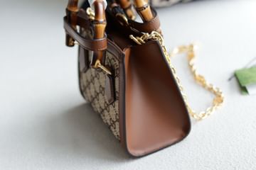 Diana Gucci 707449.1