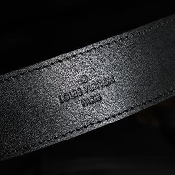 Carryall Dark Louis Vuitton M25143.1