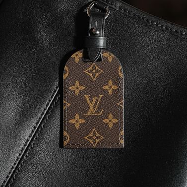 Carryall Dark Louis Vuitton M25143.1