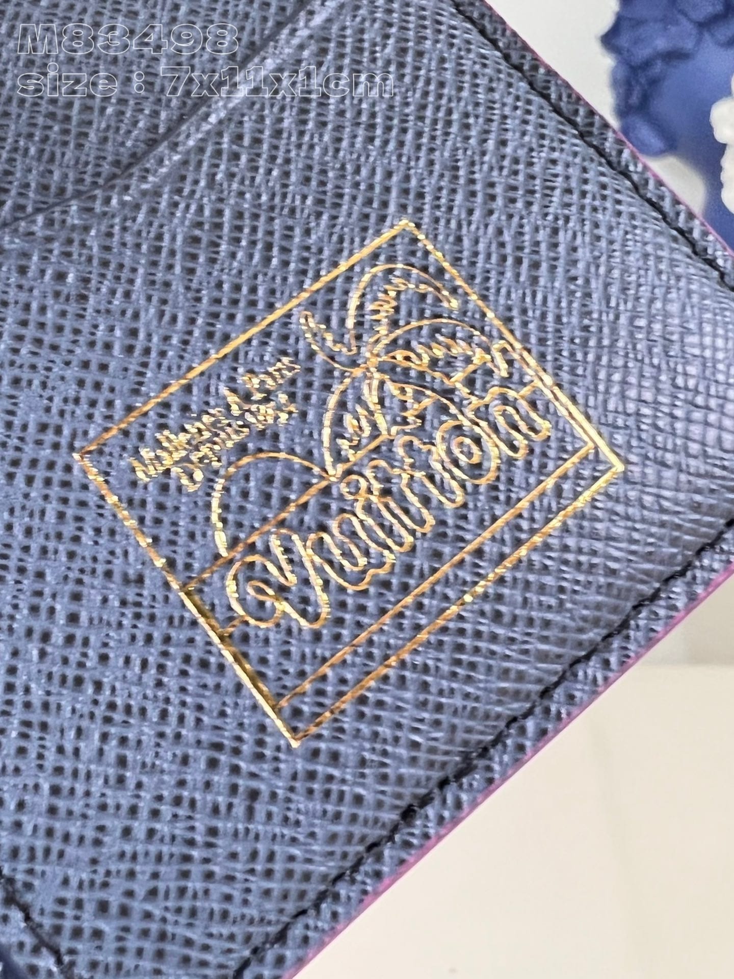 Surfin’ Monogram Louis Vuitton M83498