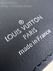Multiple Louis Vuitton M84689