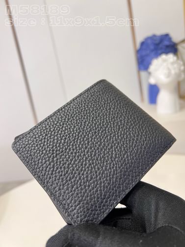 Multiple Louis Vuitton M58189