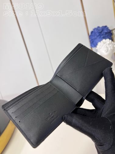 Multiple Louis Vuitton M58189