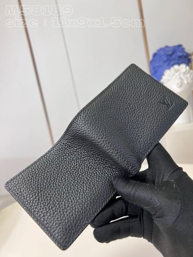 Multiple Louis Vuitton M58189