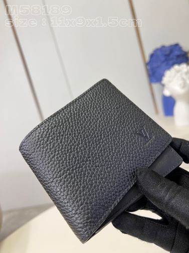 Multiple Louis Vuitton M58189