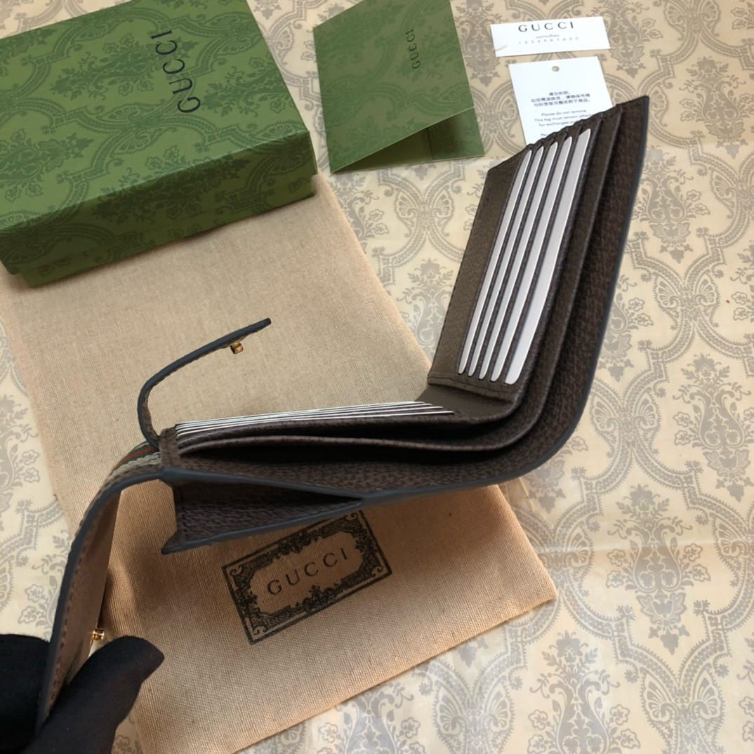 Ophidia Gucci 523173