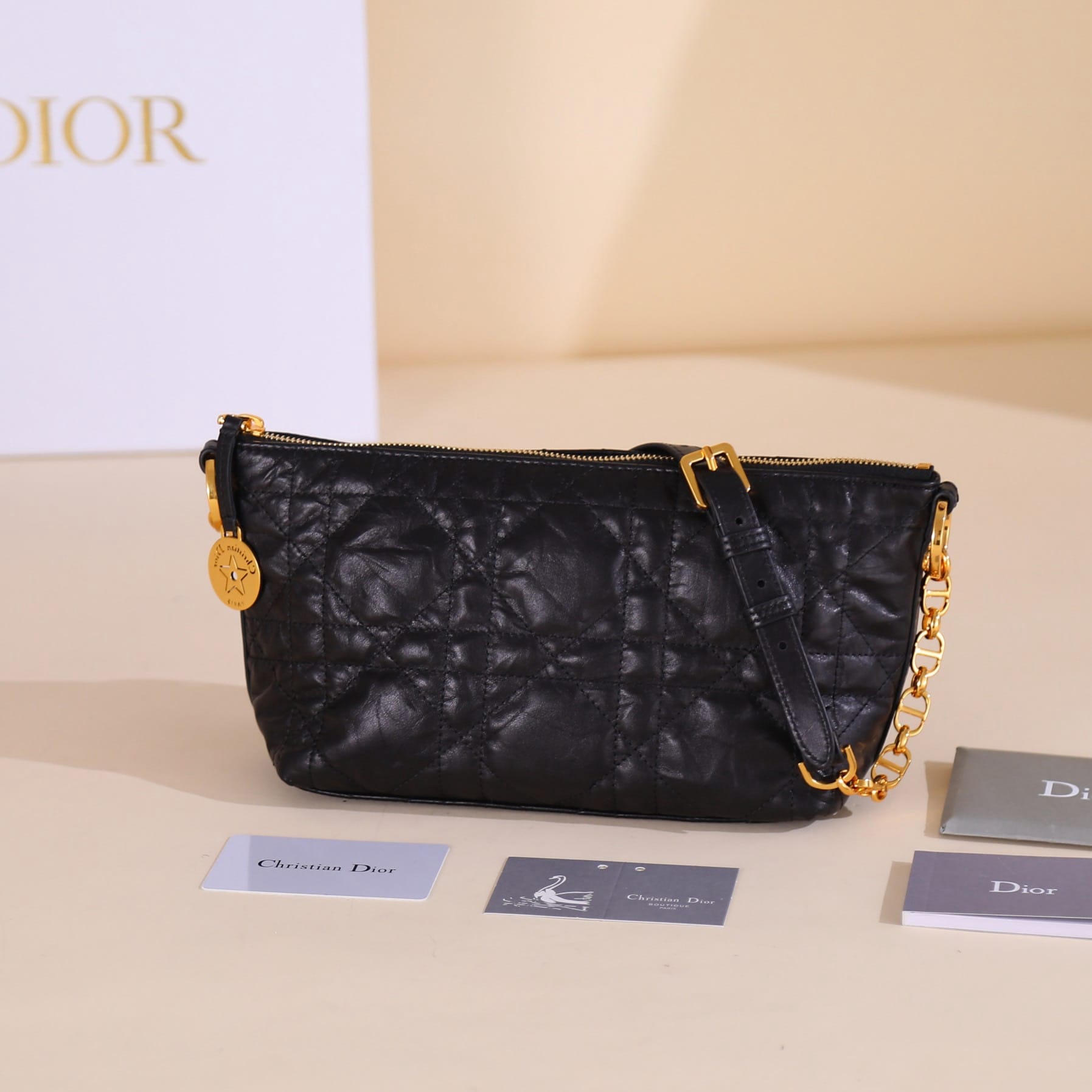 Diorstar hobo Dior S3202