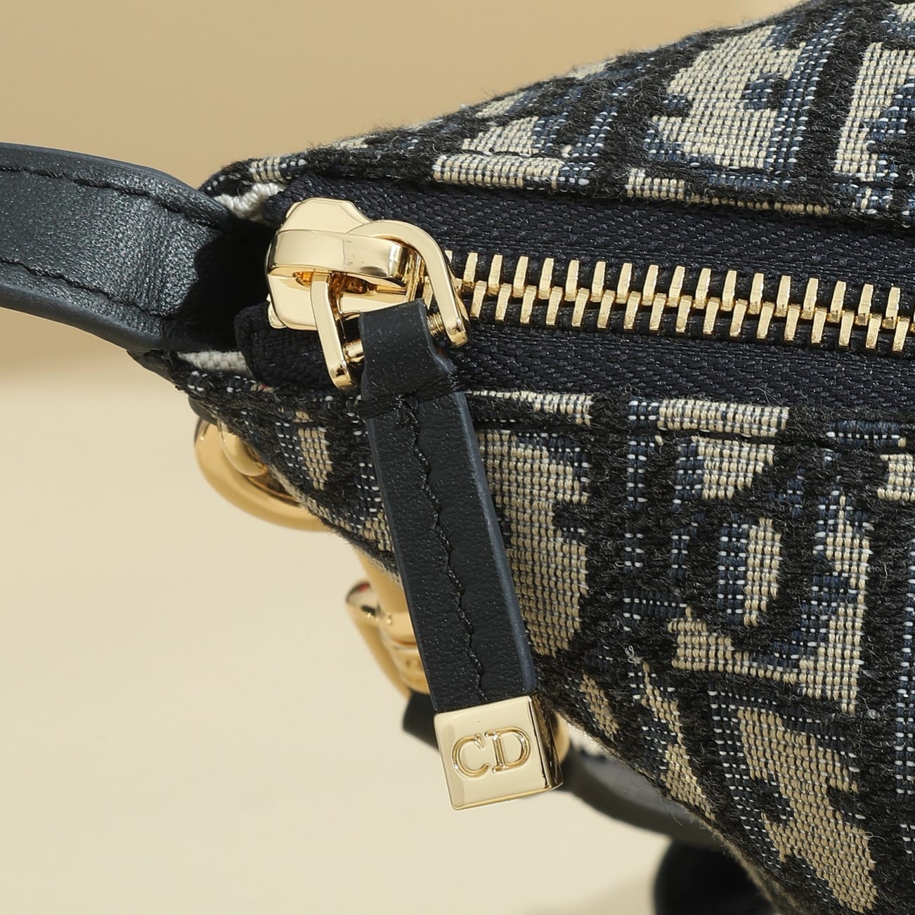 Travel nomad Dior S5554