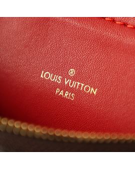 Pochette Felicie Louis Vuitton N63032