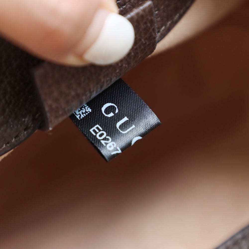 Ophida Mini Gucci 550620