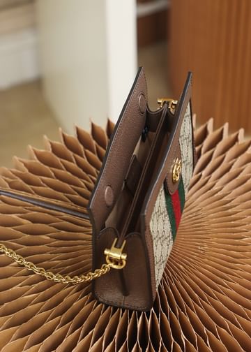 Ophida Mini Gucci 602676