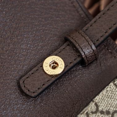 Blondie Gucci 699268