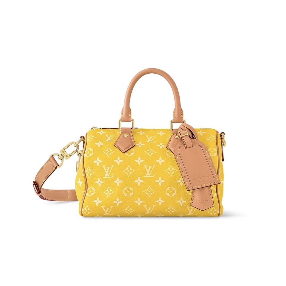 Speedy P9 25 Louis Vuitton M24426 (оригинал)