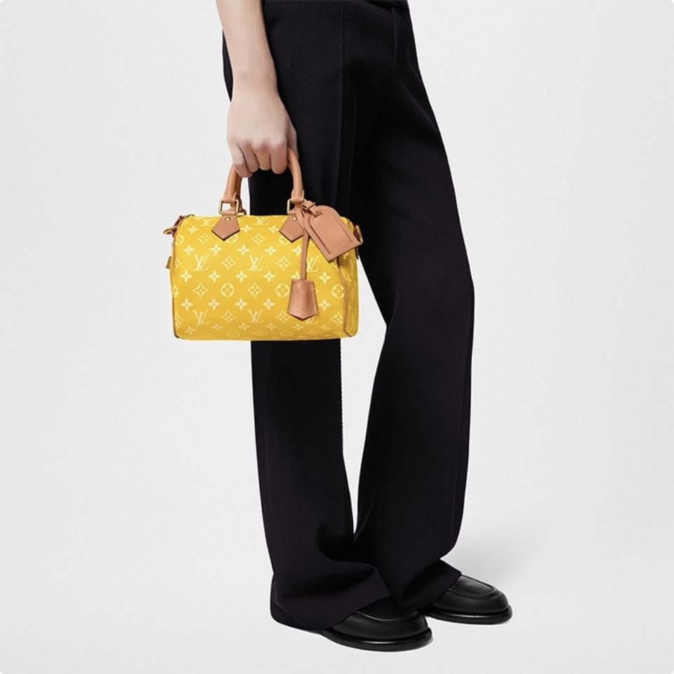 Speedy P9 25 Louis Vuitton M24426 (оригинал)