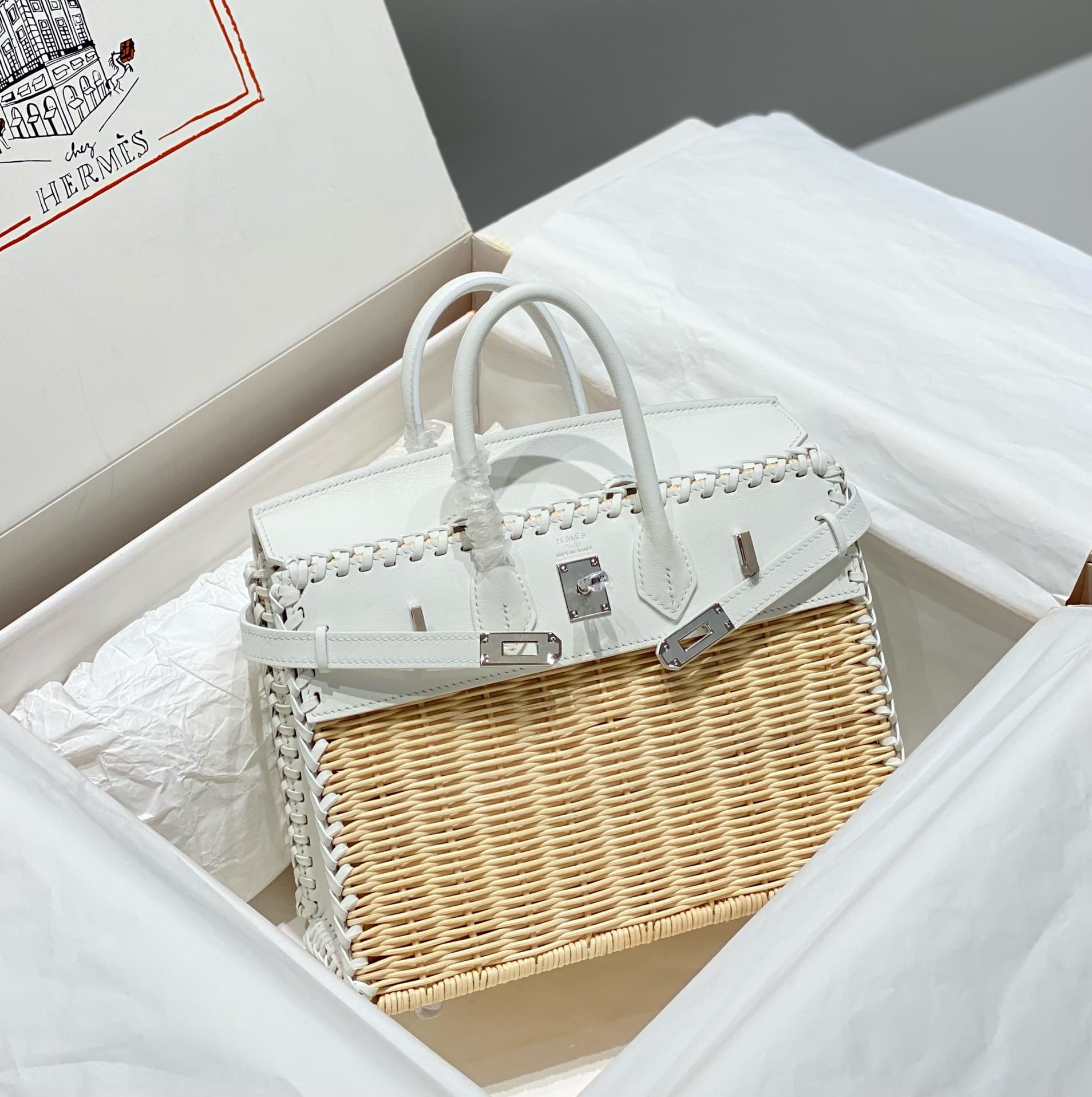 Birkin 25 Picnic Hermes HP.5