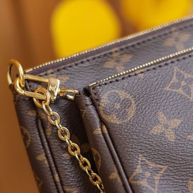 Multi Pochette Louis Vuitton M44813