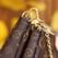 Multi Pochette Louis Vuitton M44813