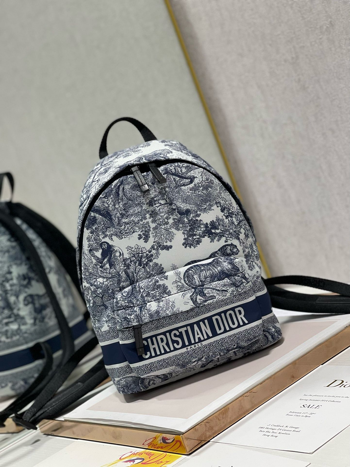 Dior backpack sale hotsell