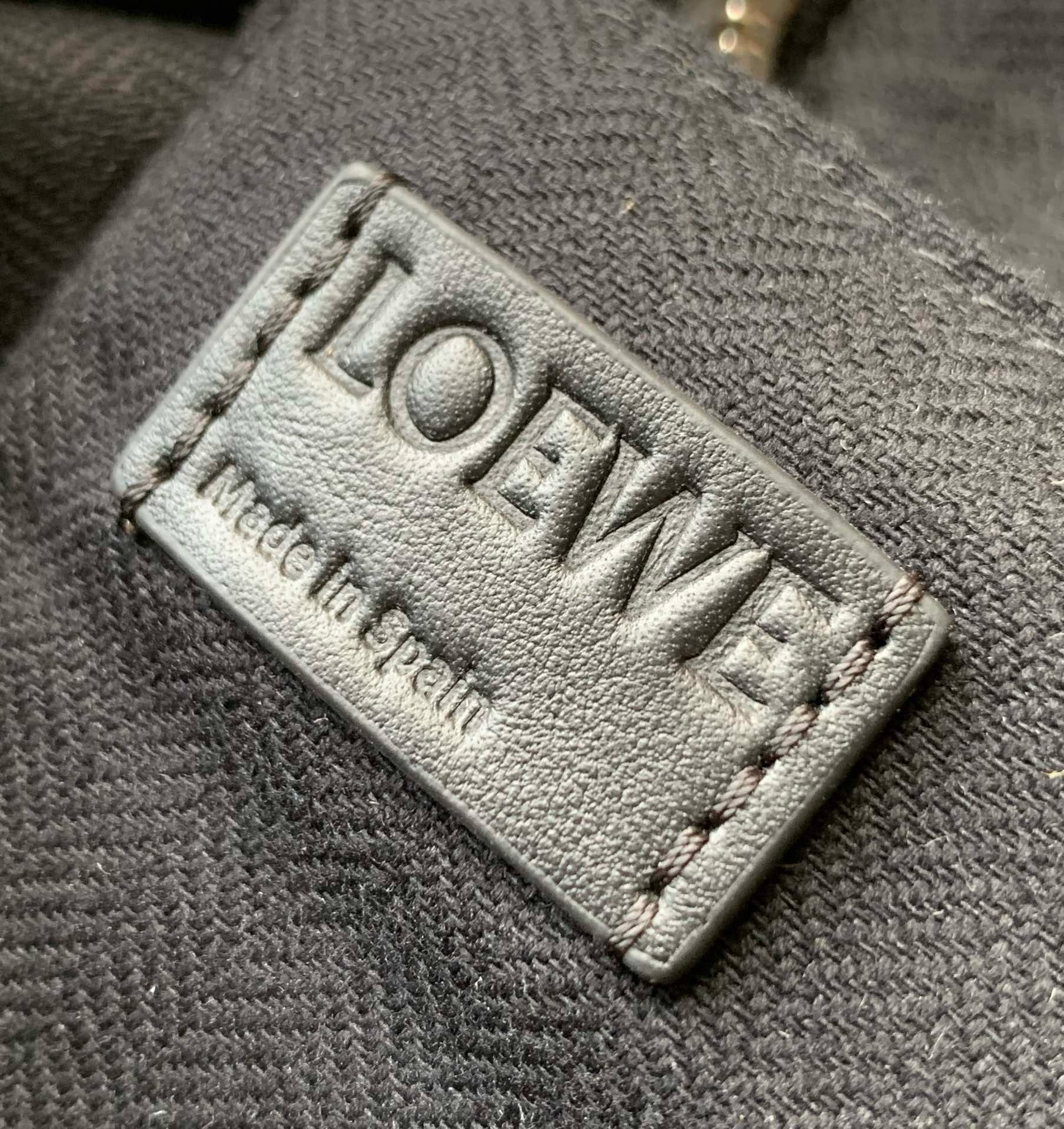 Goya Backpack Loewe 9065