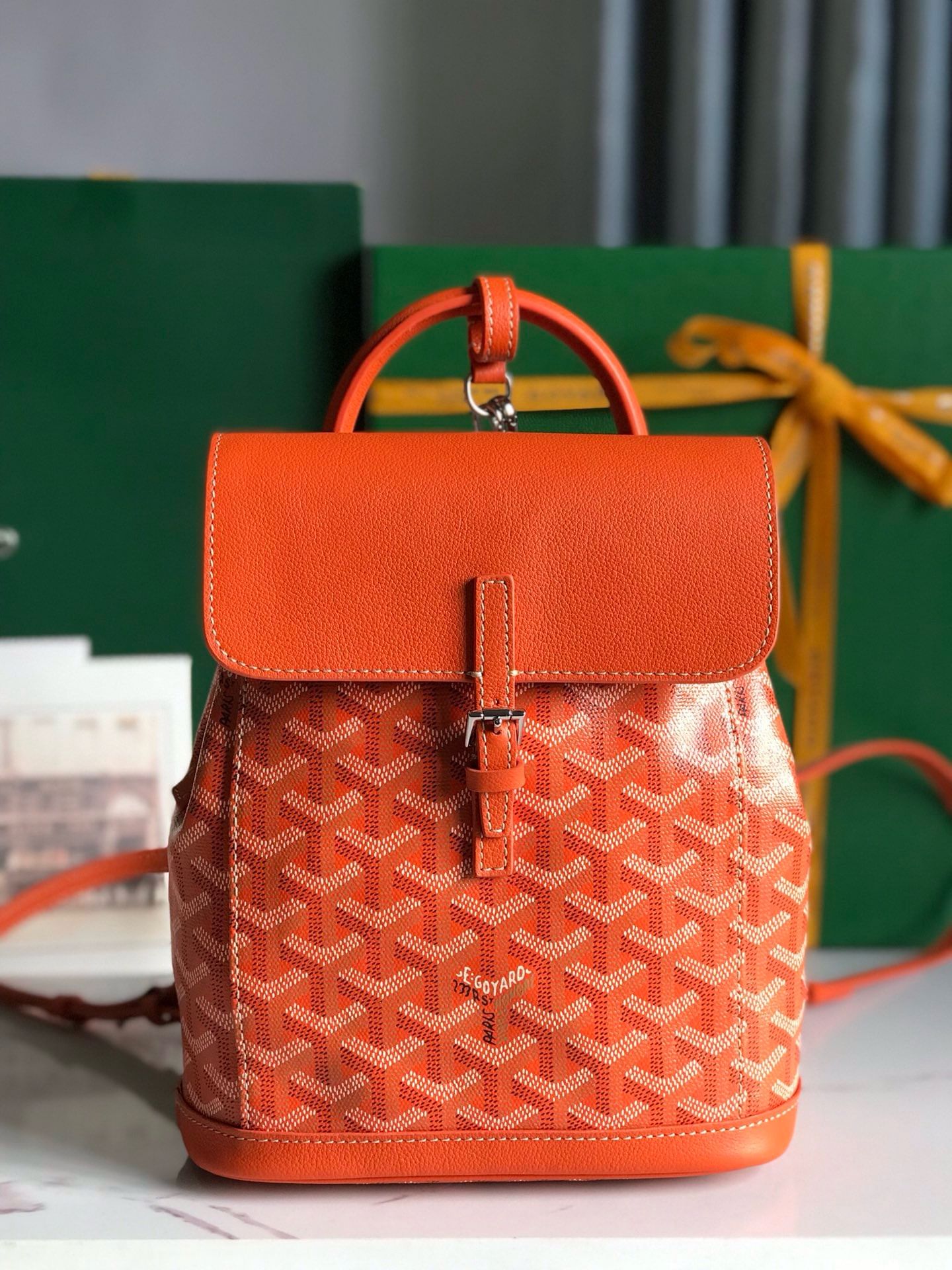 Alpin Goyard 20195