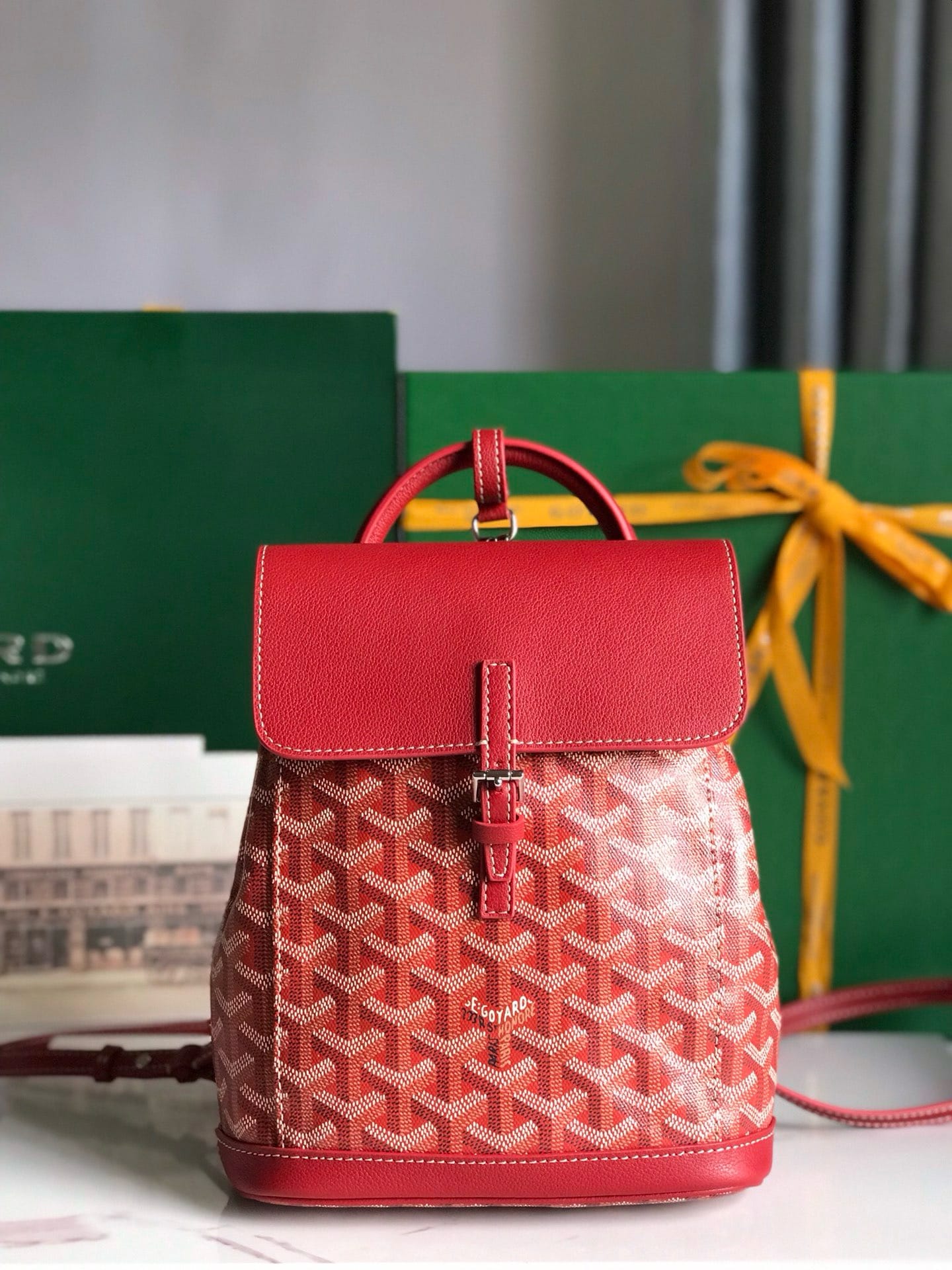 Alpin Goyard 20195.2