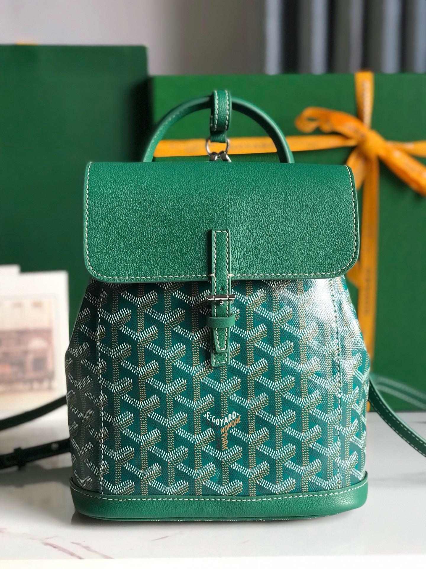 Alpin Goyard 20195.3