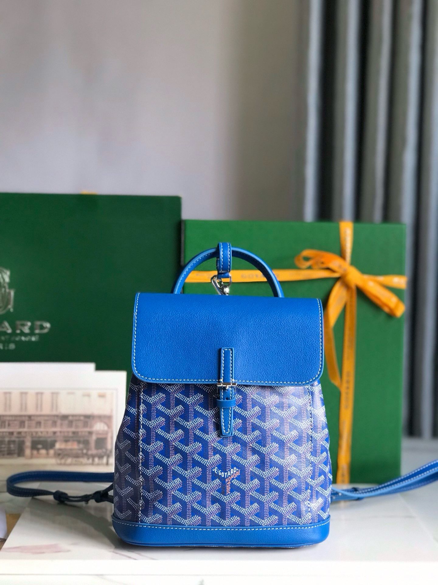 Alpin Goyard 20195.5