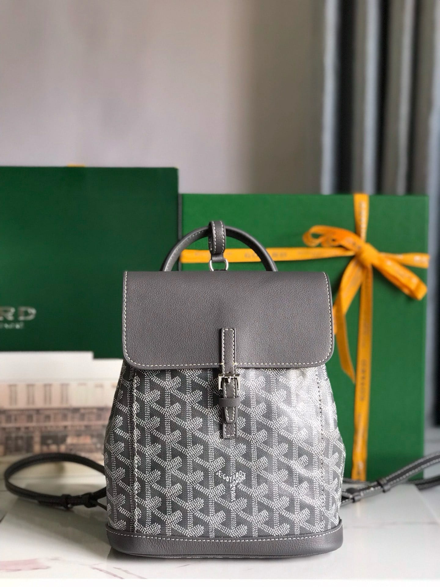 Alpin Goyard 20195.6