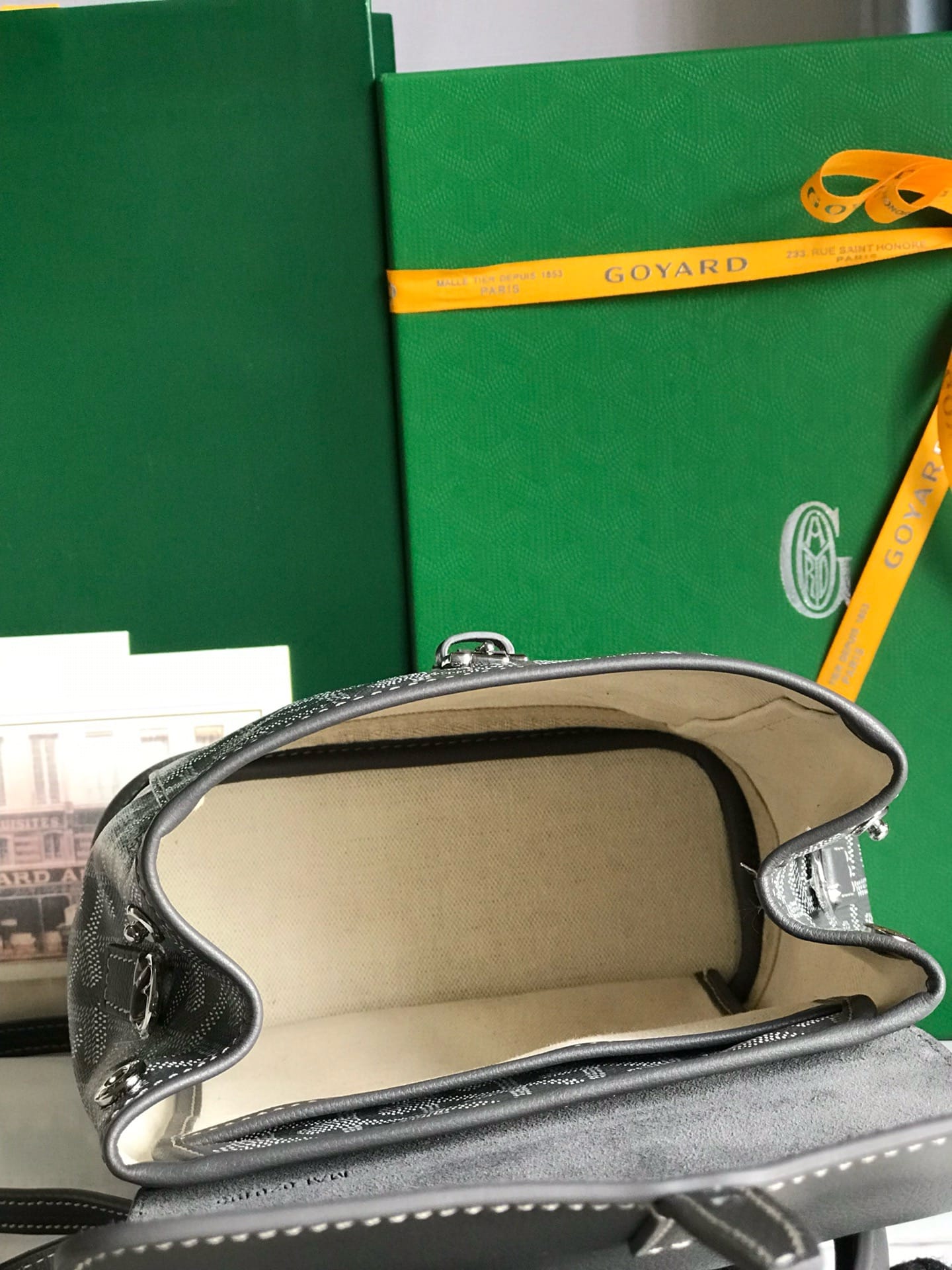 Alpin Goyard 20195.6