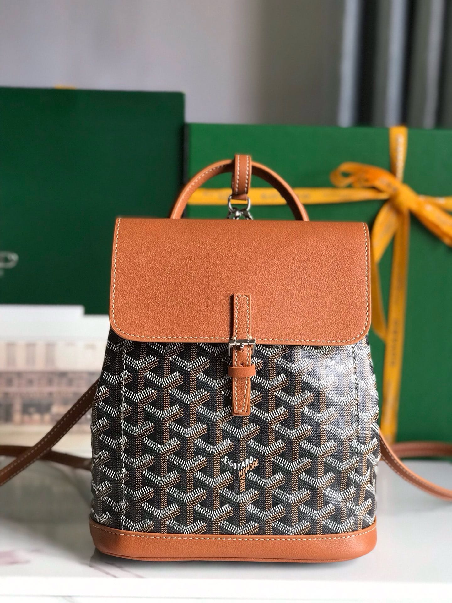 Alpin Goyard 20195.7
