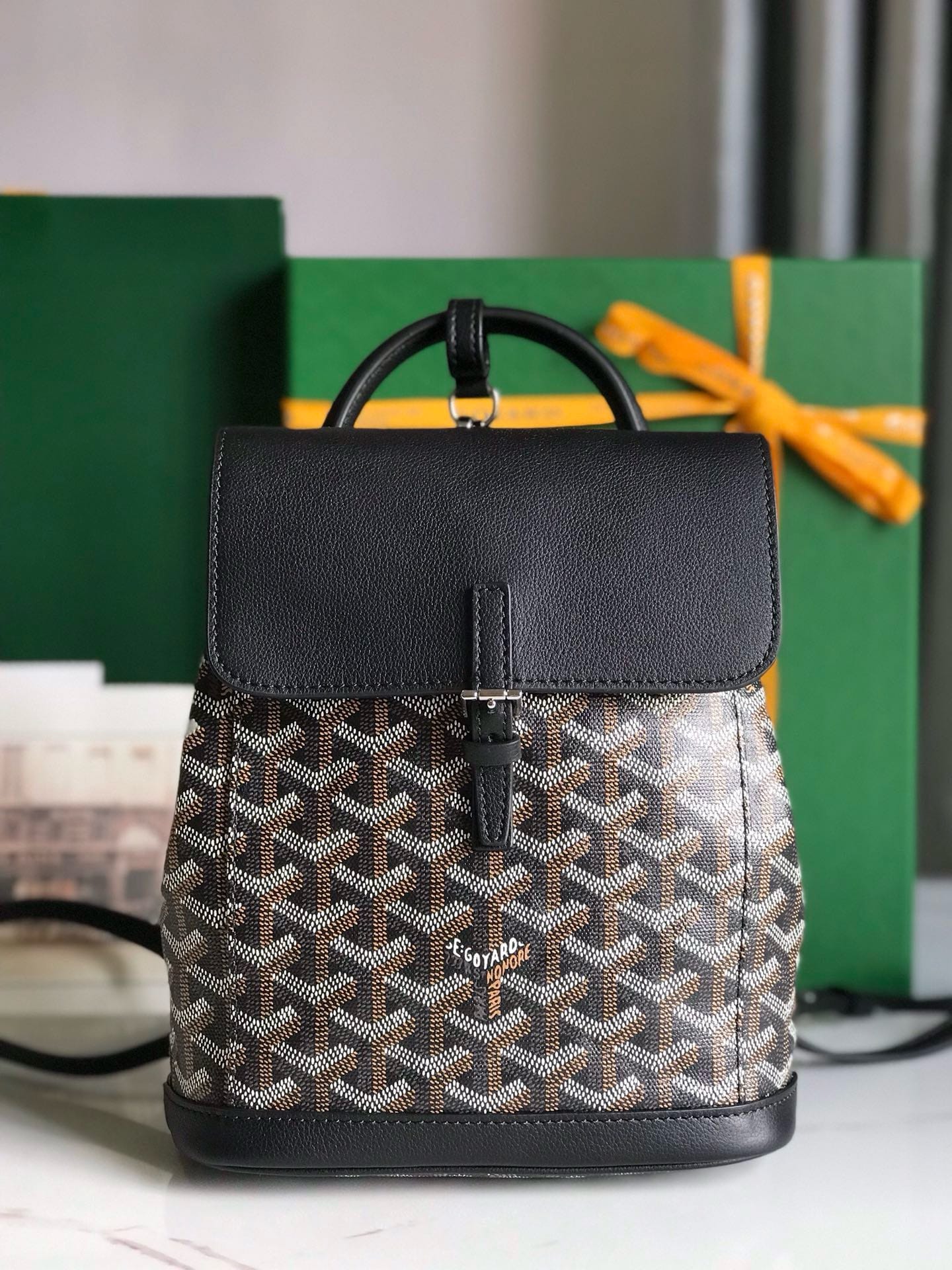 Alpin Goyard 20195.8