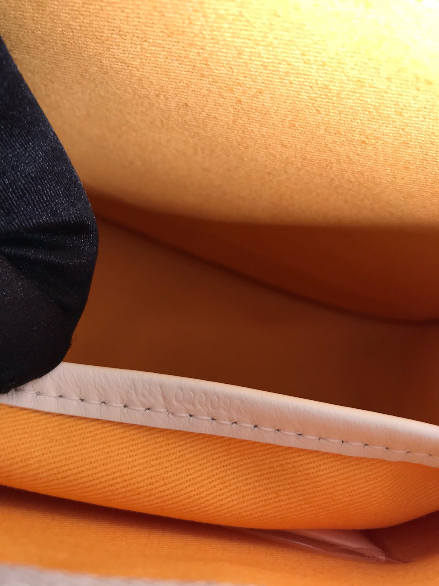 Belvedere Goyard GB.6