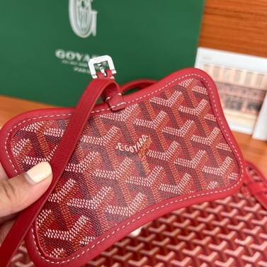 Переноска для животных Chien Gris Goyard GCG.3