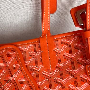 Переноска для животных Chien Gris Goyard GCG.8