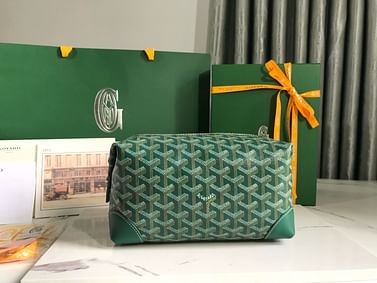 Boeing Goyard 20215