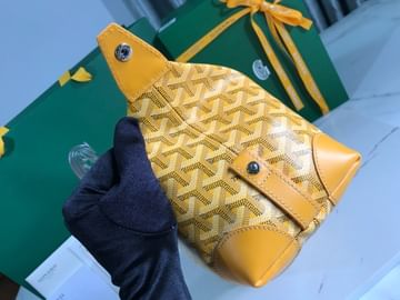 Boeing Goyard 20215.1