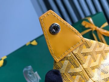 Boeing Goyard 20215.1