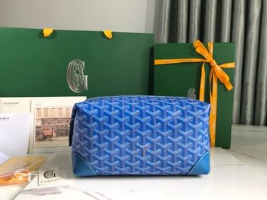 Boeing Goyard 20215.8