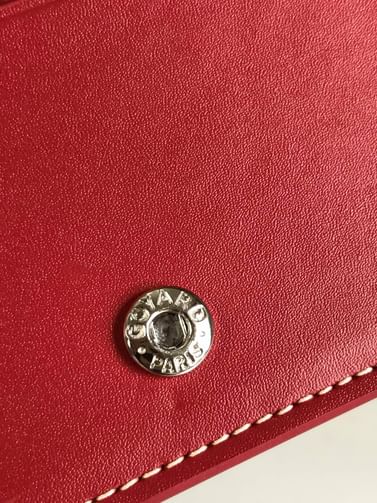 Richelieu Goyard 20174.7