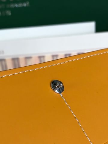 Richelieu Goyard 20174.11