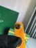MontMartre GM Goyard 4