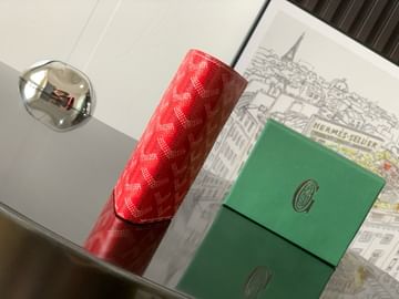 Saint-Pierre Goyard 4