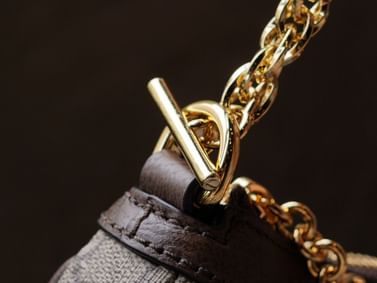 Ophidia Gucci 735145.2
