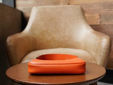 Aphrodite Gucci 739076.3