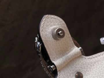 Dionysus Gucci 752029